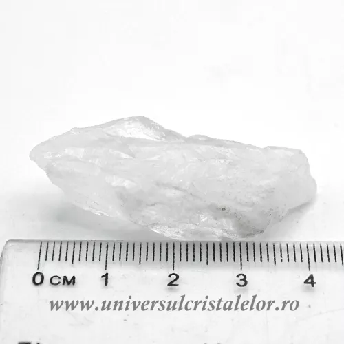 Cuart lemurian (radacina)