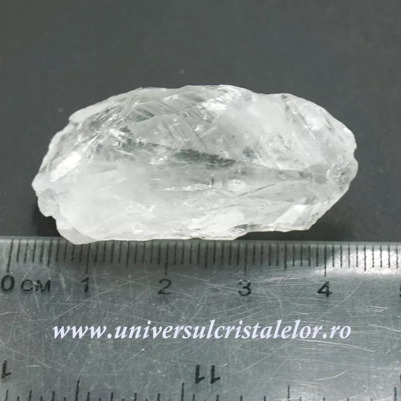 Cuart lemurian (radacina) Cuart lemurian (radacina)