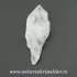 Cuart lemurian (radacina)