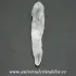 Cuart lemurian (radacina)