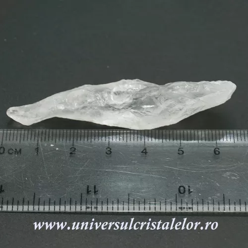 Cuart lemurian (radacina) Cuart lemurian (radacina)