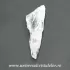 Cuart lemurian (radacina)
