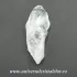 Cuart lemurian (radacina)