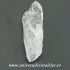 Cuart lemurian (radacina)