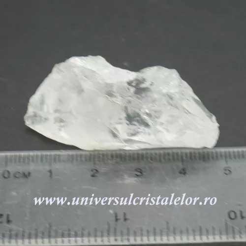 Cuart lemurian (radacina) Cuart lemurian (radacina)