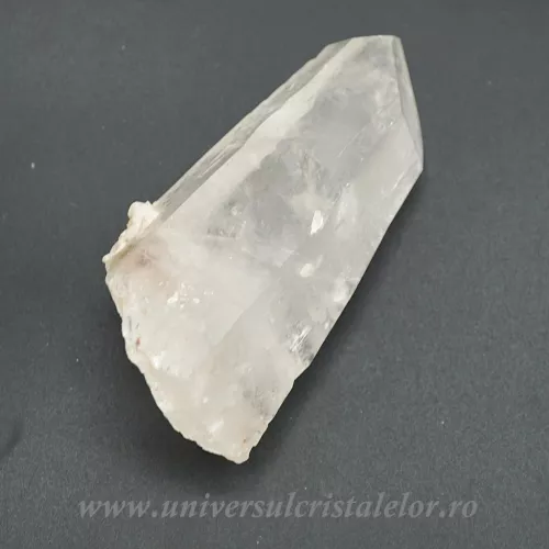 Cuart lemurian