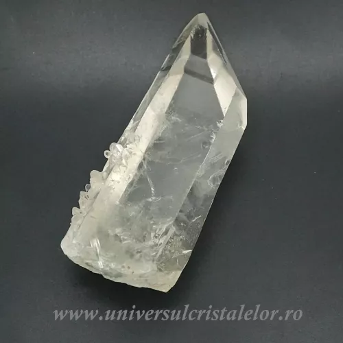 Cuart lemurian