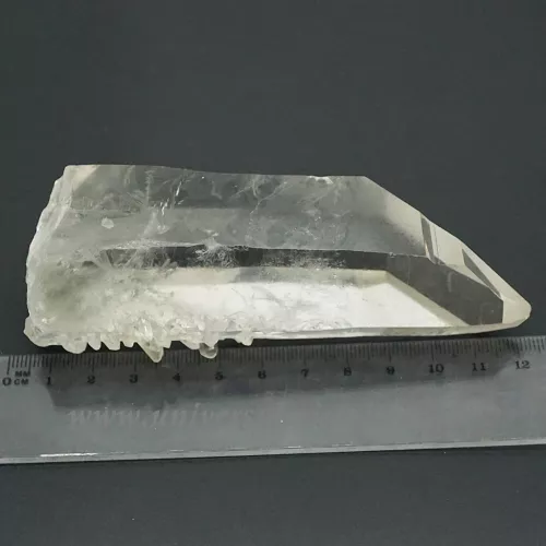 Cuart lemurian