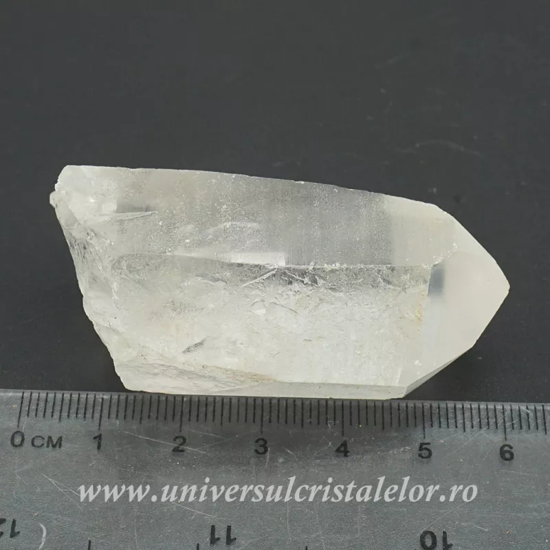 Cuart lemurian Cuart lemurian