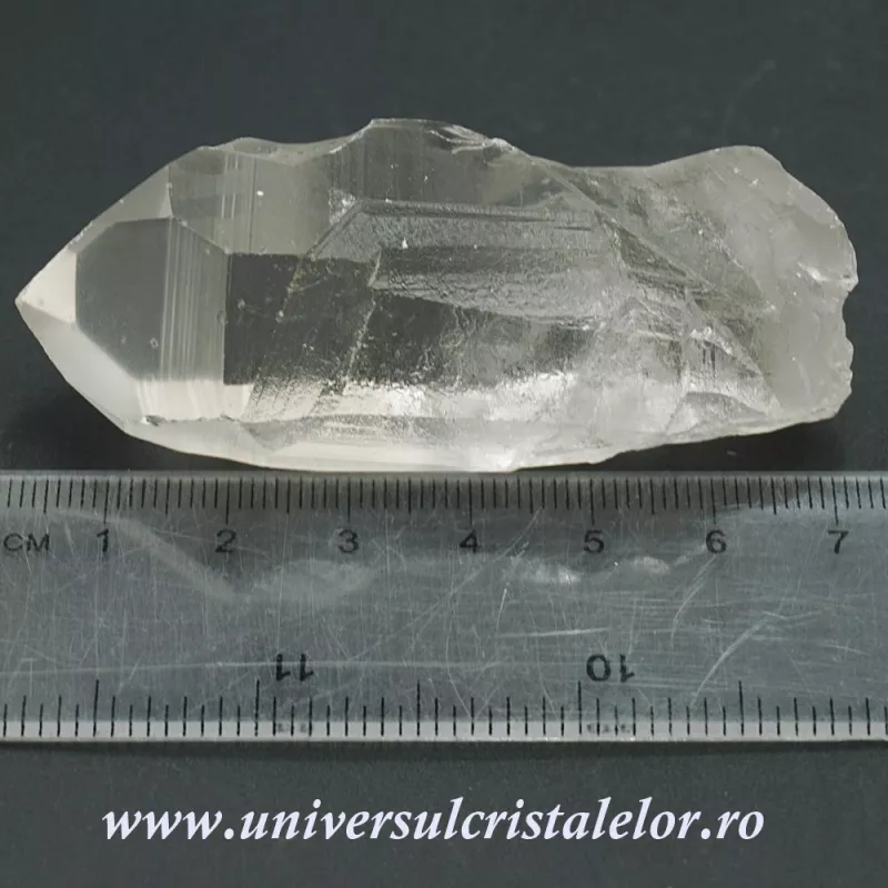 Cuart lemurian Cuart lemurian