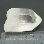 Cuart lemurian Cuart lemurian