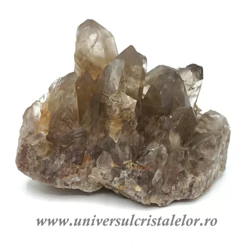 Cuart fumuriu cluster