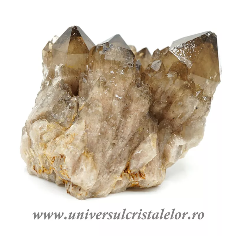 Cuart fumuriu cluster