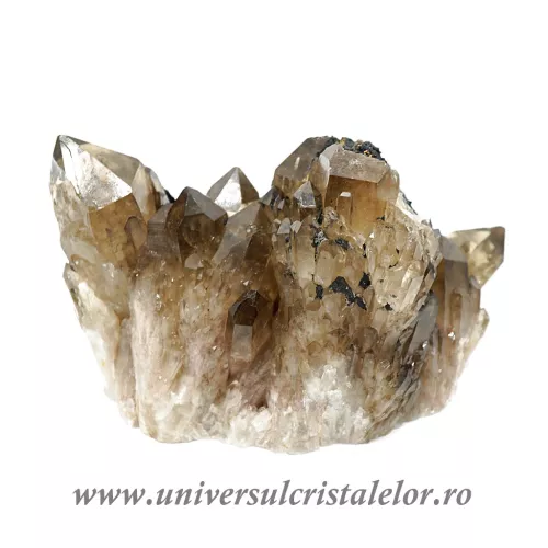 Cuart fumuriu cluster