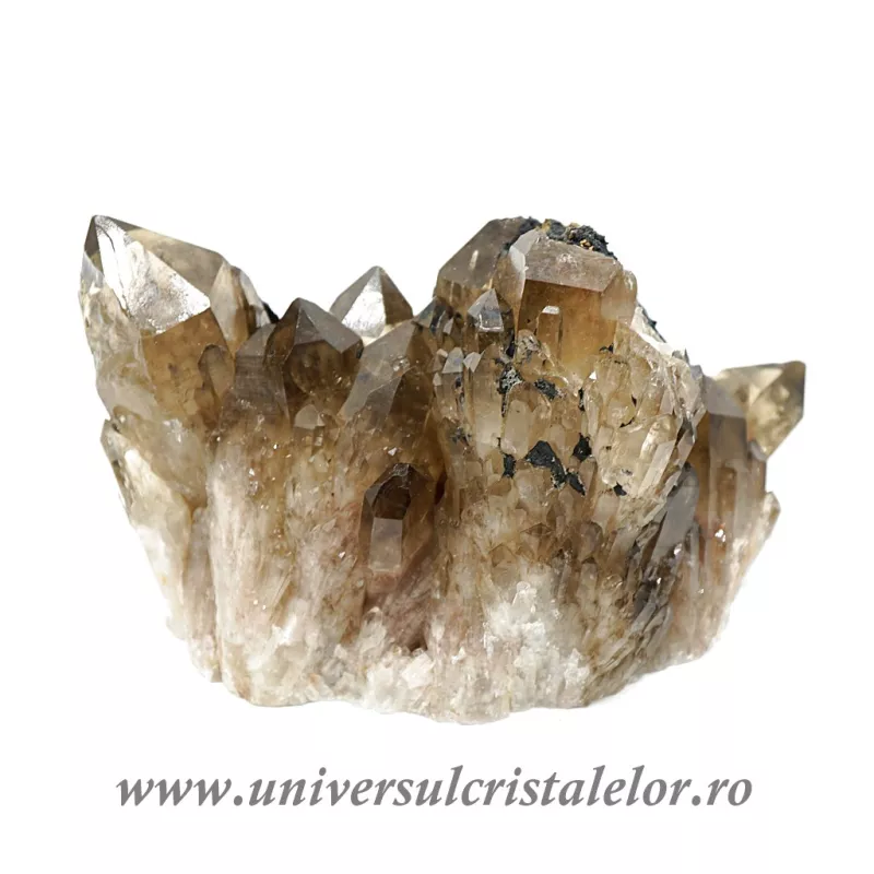 Cuart fumuriu cluster