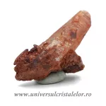 Cuart hematoid Cuart hematoid