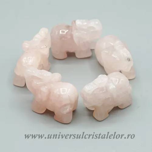 Elefant cuart roz Elefant cuart roz