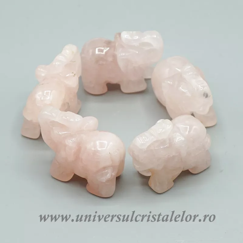 Elefant cuart roz Elefant cuart roz