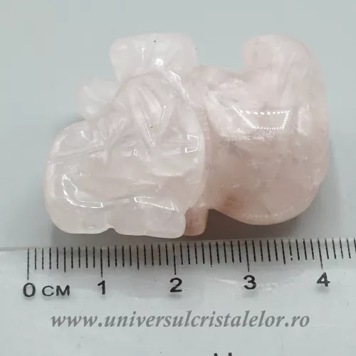 Elefant cuart roz Elefant cuart roz