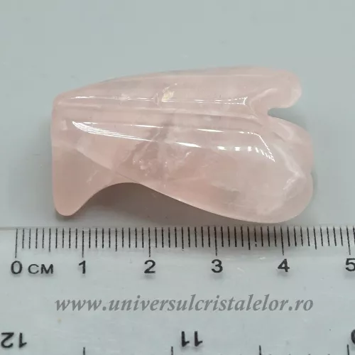 Inger cuart roz Inger cuart roz