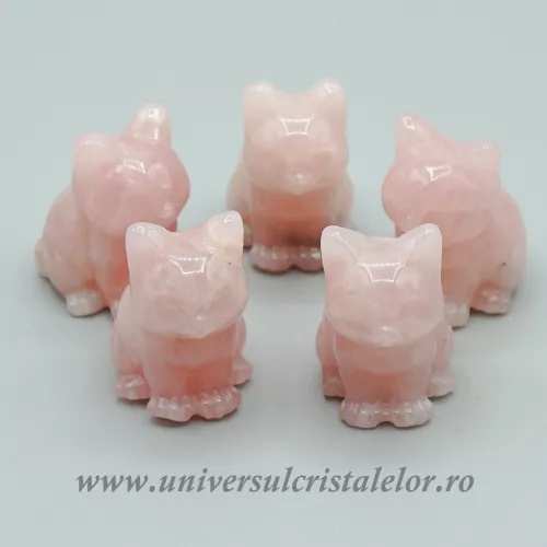 Pisica cuart roz Pisica cuart roz