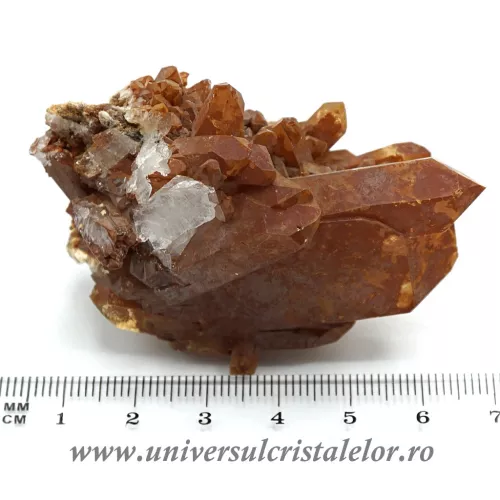 Cuart tangerin cluster