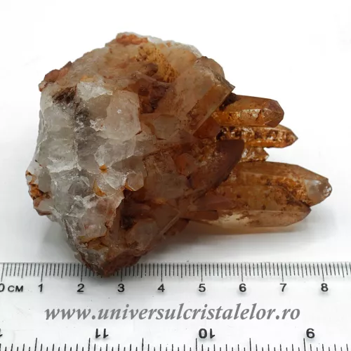 Cuart tangerin cluster Cuart tangerin cluster