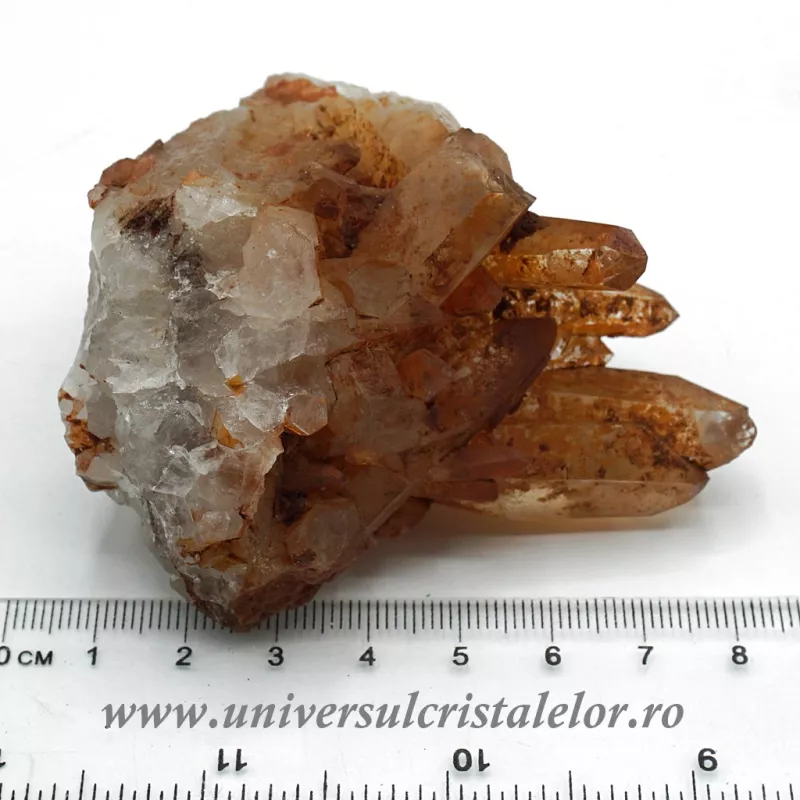 Cuart tangerin cluster Cuart tangerin cluster