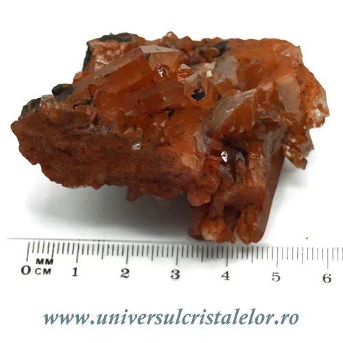 Cuart tangerin cluster