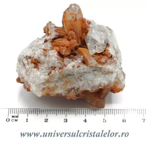 Cuart tangerin cluster Cuart tangerin cluster