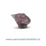 Diaspore Diaspore
