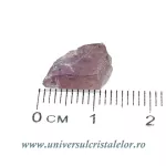 Diaspore Diaspore