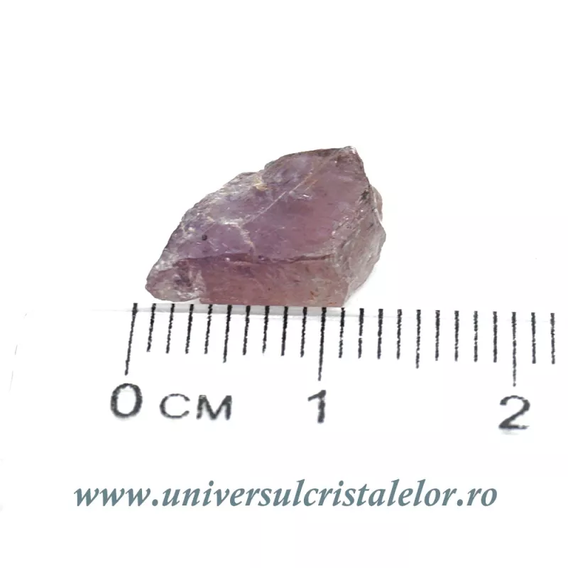 Diaspore Diaspore