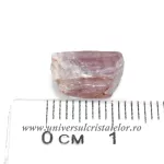Diaspore Diaspore