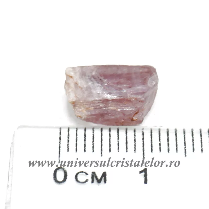Diaspore Diaspore