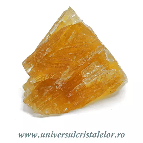 Fluorina galbena Fluorina galbena