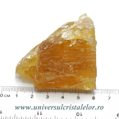 Fluorina galbena Fluorina galbena