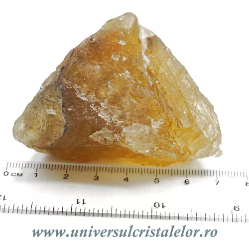 Fluorina galbena Fluorina galbena