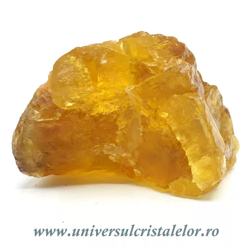 Fluorina galbena Fluorina galbena