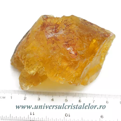 Fluorina galbena Fluorina galbena