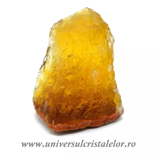 Fluorina galbena Fluorina galbena