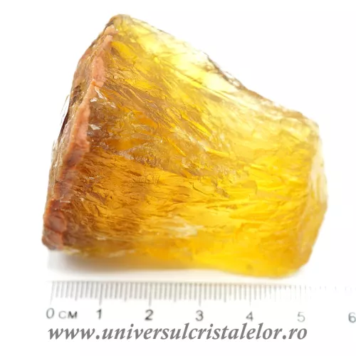 Fluorina galbena Fluorina galbena