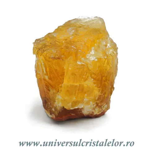 Fluorina galbena Fluorina galbena