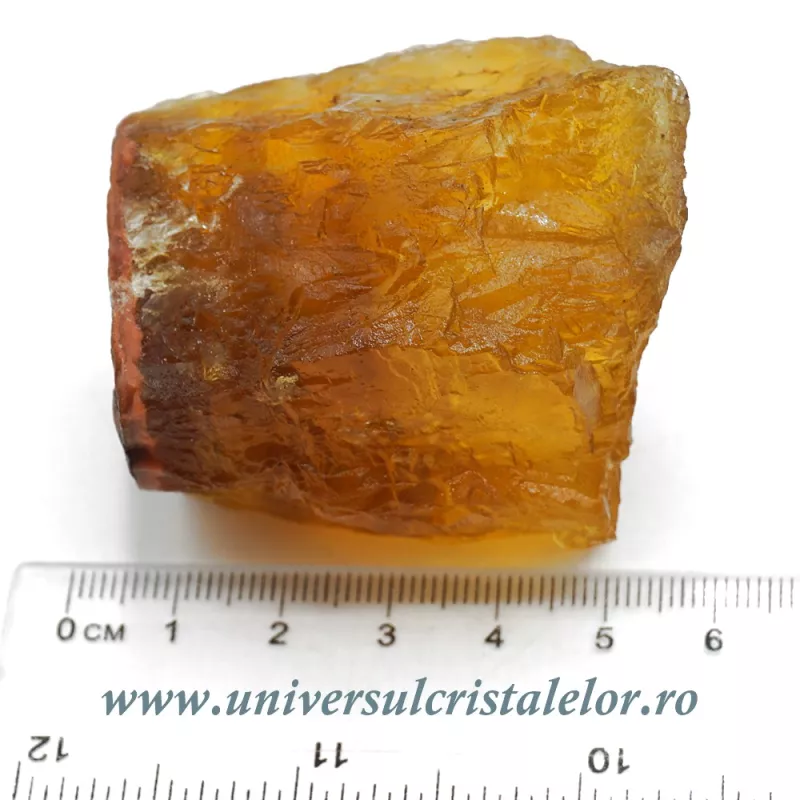 Fluorina galbena Fluorina galbena