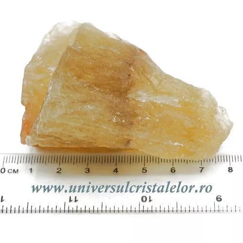 Fluorina galbena Fluorina galbena