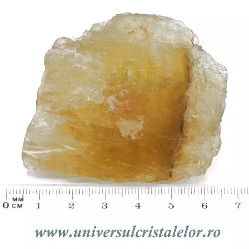 Fluorina galbena Fluorina galbena