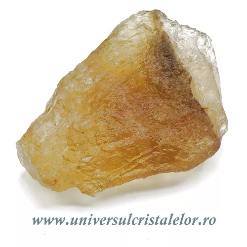 Fluorina galbena Fluorina galbena