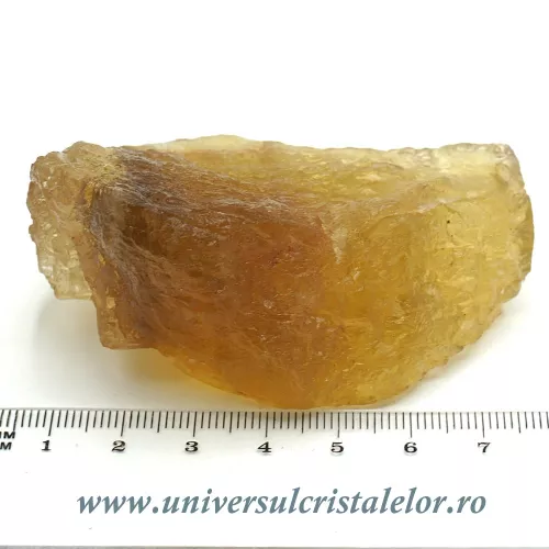 Fluorina galbena Fluorina galbena