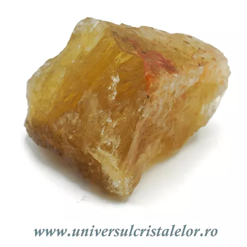 Fluorina galbena Fluorina galbena