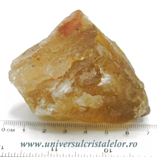 Fluorina galbena Fluorina galbena